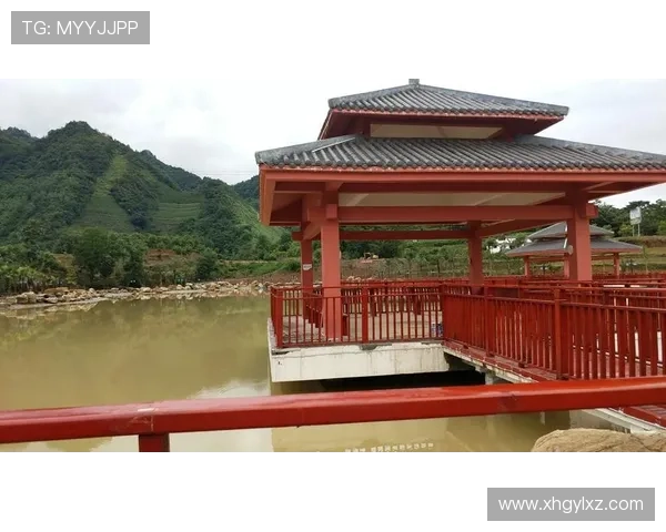 爱上直播：镜头背后的精彩人生故事